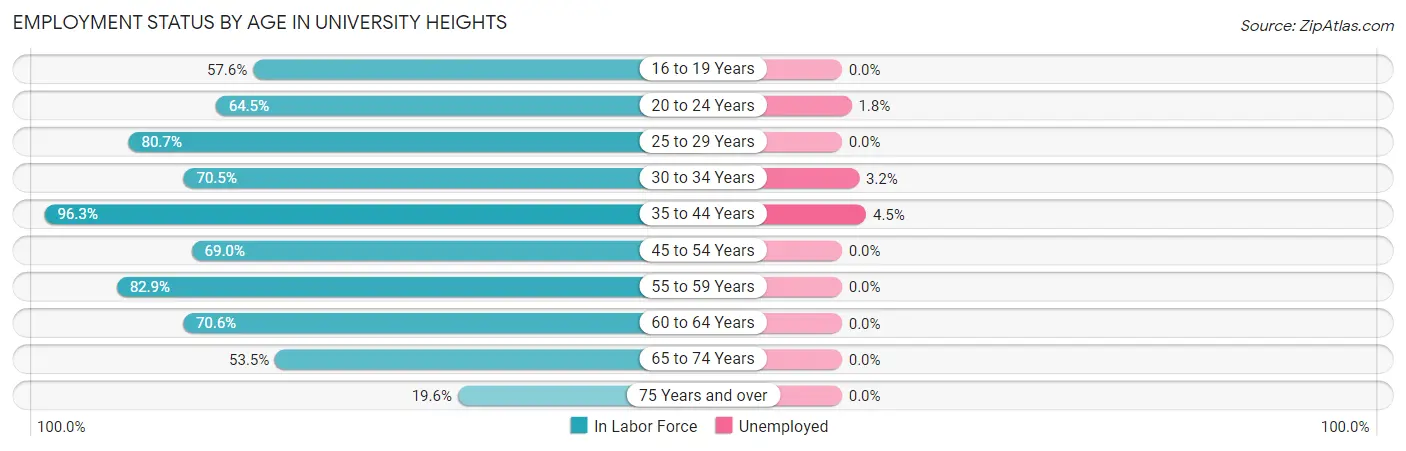 Employment Status by Age in University Heights