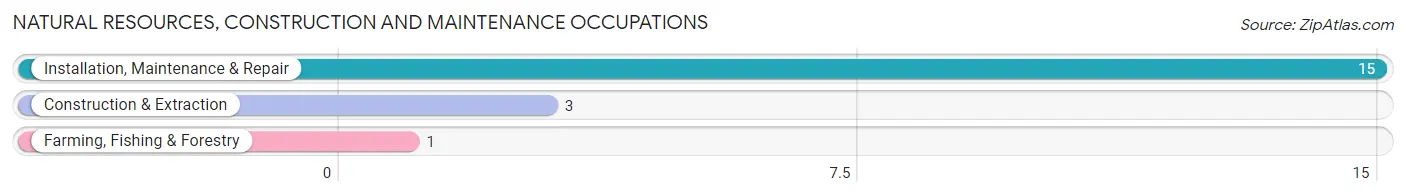 Natural Resources, Construction and Maintenance Occupations in University Park