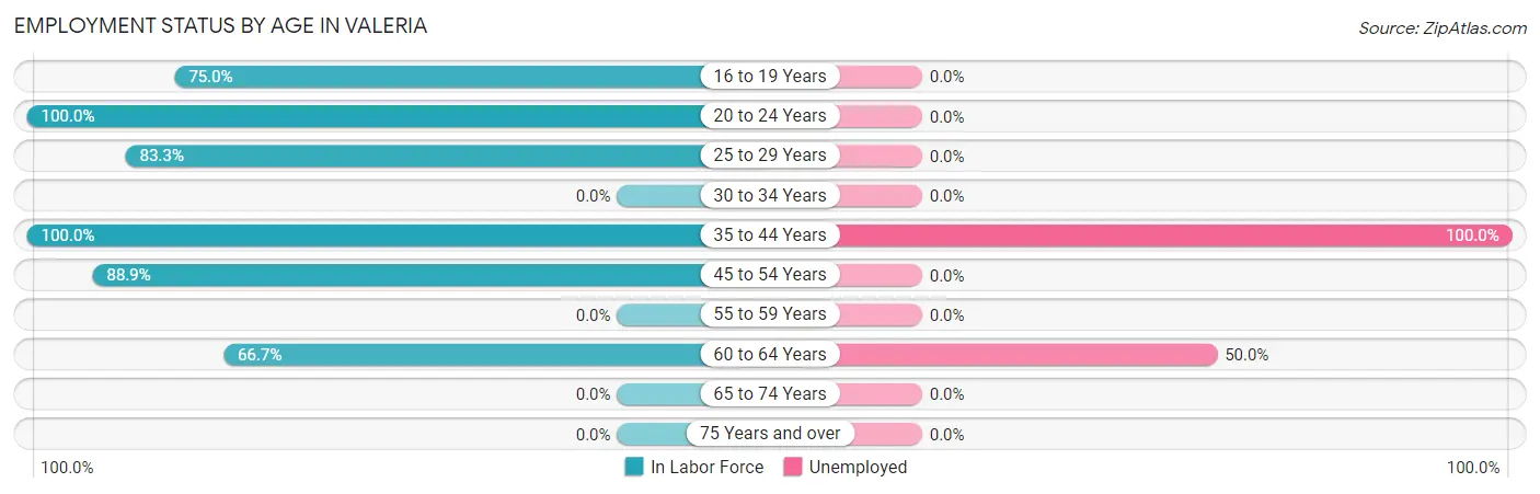 Employment Status by Age in Valeria