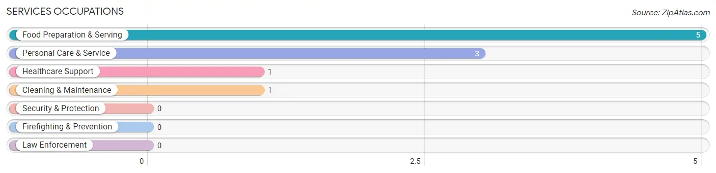 Services Occupations in Washta