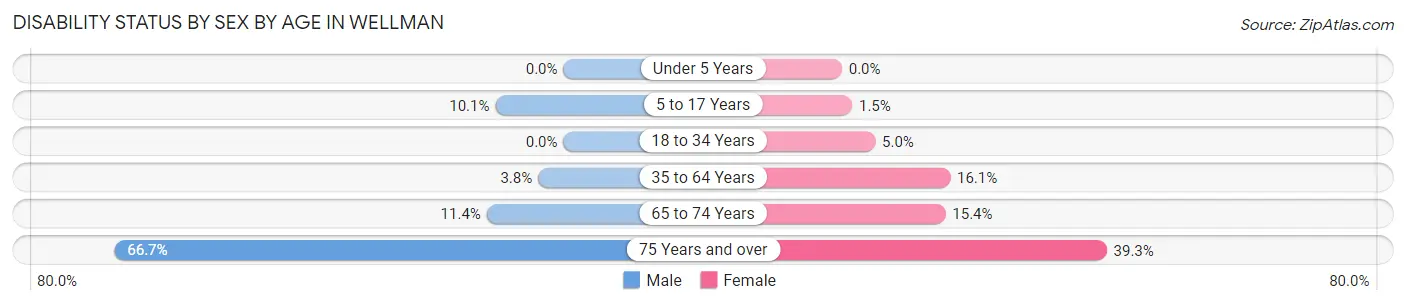 Disability Status by Sex by Age in Wellman