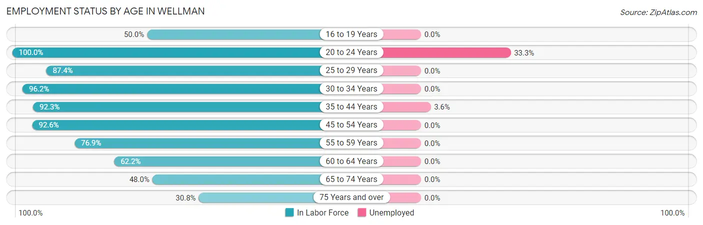 Employment Status by Age in Wellman