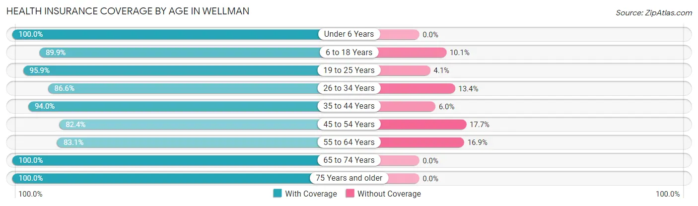 Health Insurance Coverage by Age in Wellman