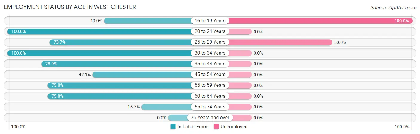 Employment Status by Age in West Chester