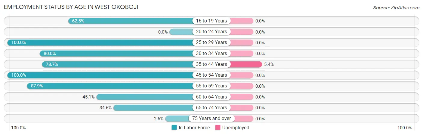 Employment Status by Age in West Okoboji