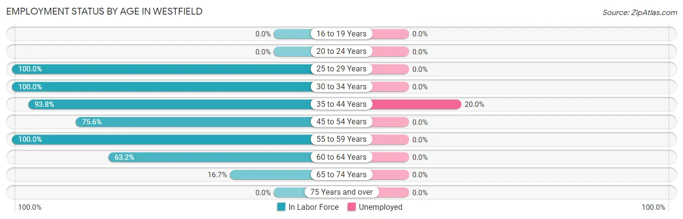 Employment Status by Age in Westfield