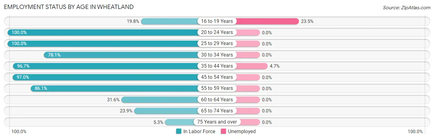 Employment Status by Age in Wheatland