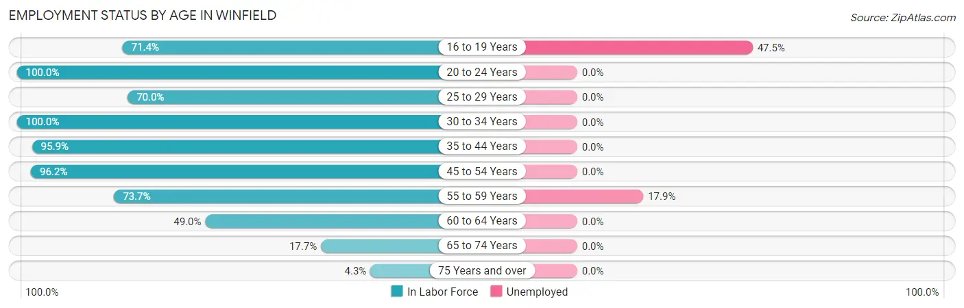 Employment Status by Age in Winfield