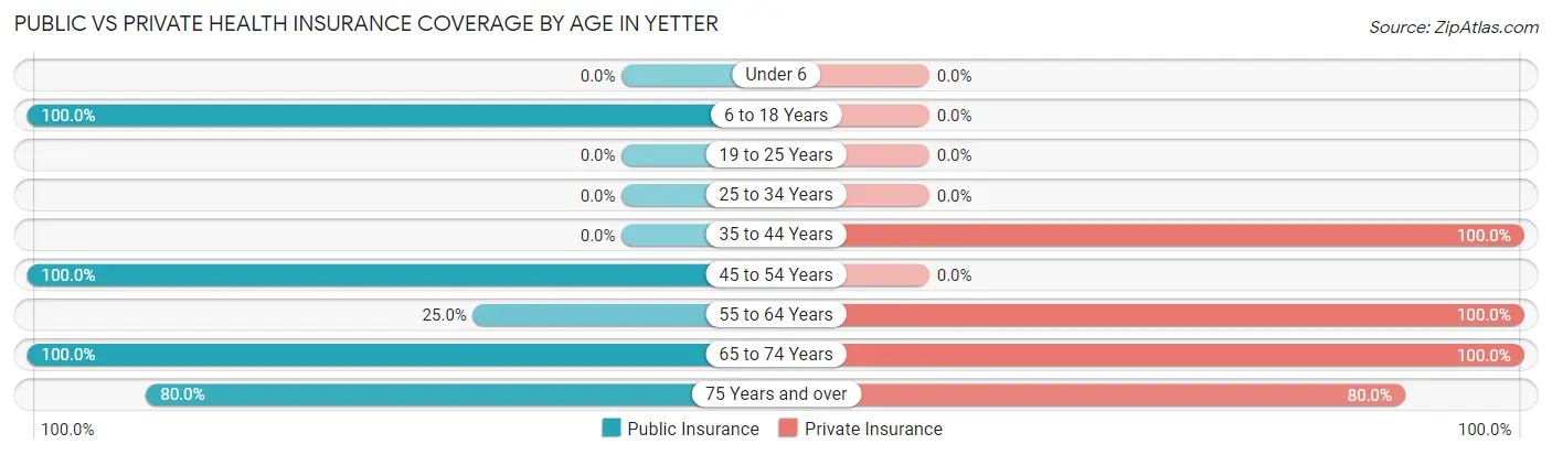 Public vs Private Health Insurance Coverage by Age in Yetter