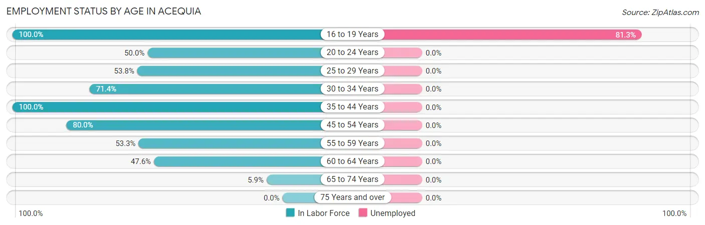 Employment Status by Age in Acequia