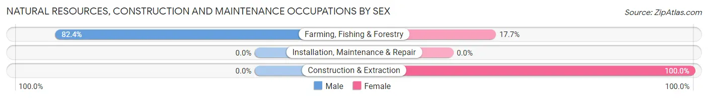 Natural Resources, Construction and Maintenance Occupations by Sex in Acequia