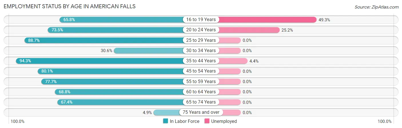 Employment Status by Age in American Falls
