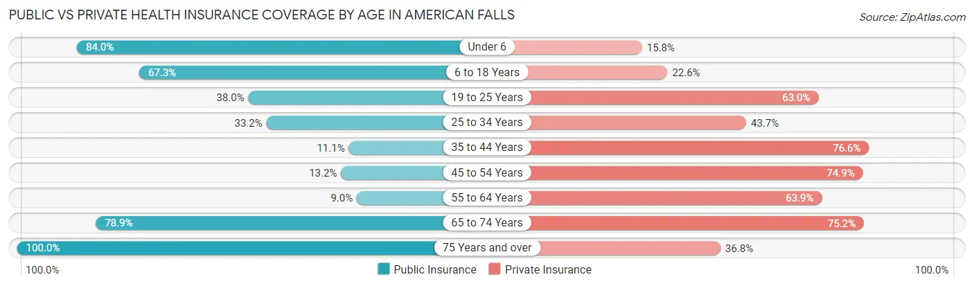 Public vs Private Health Insurance Coverage by Age in American Falls