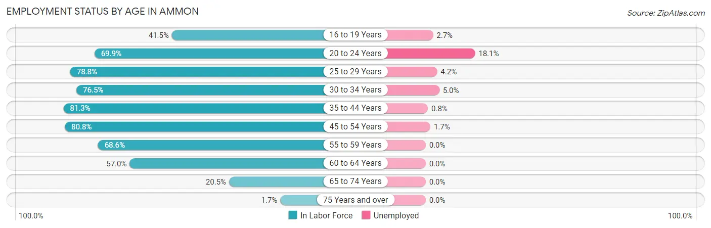 Employment Status by Age in Ammon