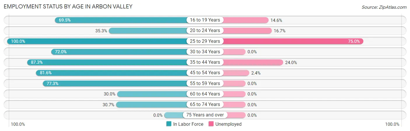 Employment Status by Age in Arbon Valley