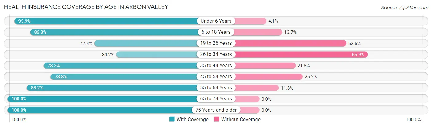 Health Insurance Coverage by Age in Arbon Valley