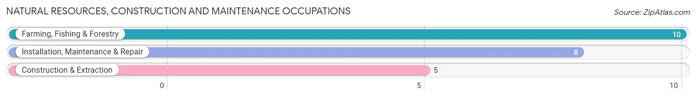 Natural Resources, Construction and Maintenance Occupations in Arco