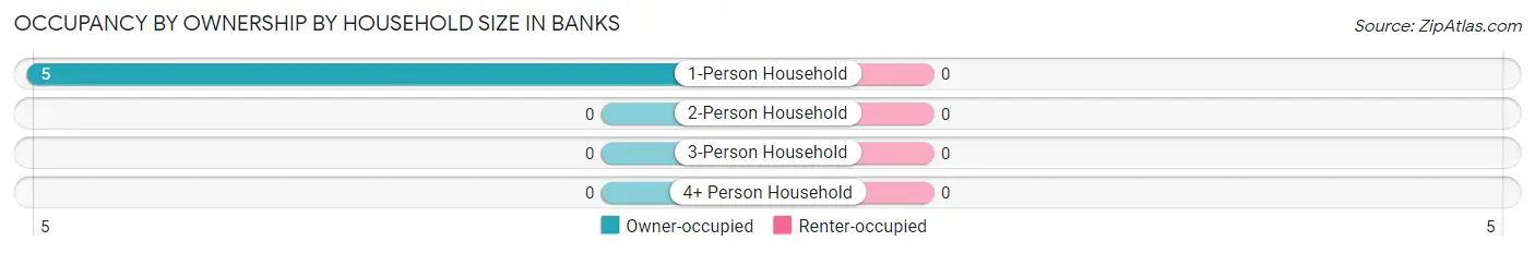 Occupancy by Ownership by Household Size in Banks