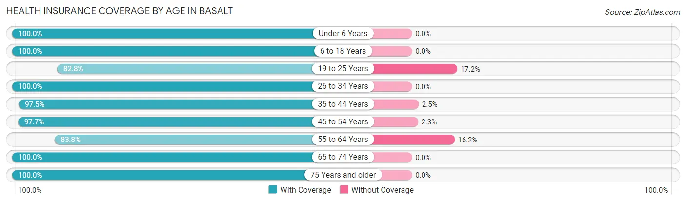 Health Insurance Coverage by Age in Basalt