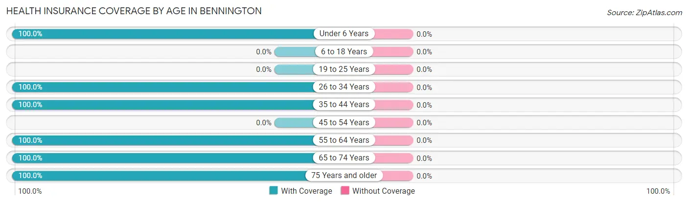 Health Insurance Coverage by Age in Bennington
