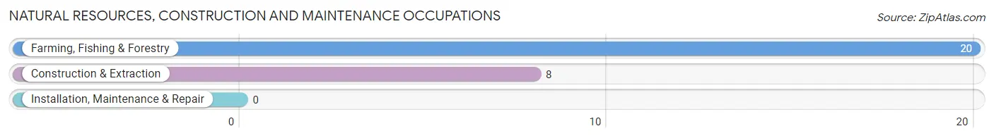 Natural Resources, Construction and Maintenance Occupations in Bliss