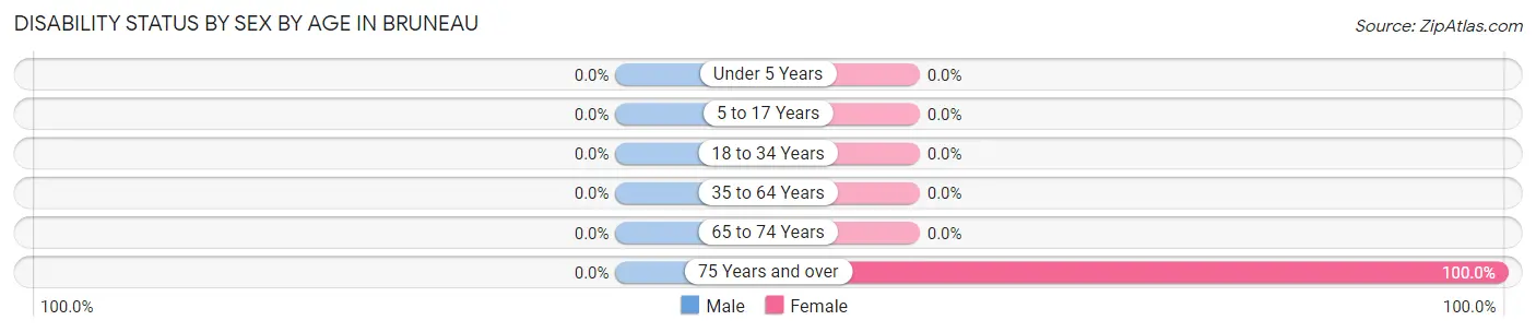Disability Status by Sex by Age in Bruneau