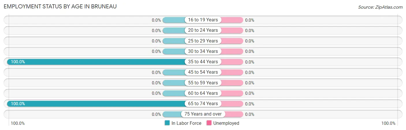 Employment Status by Age in Bruneau