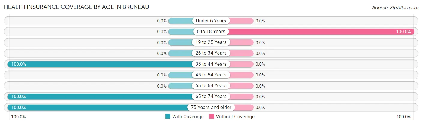 Health Insurance Coverage by Age in Bruneau