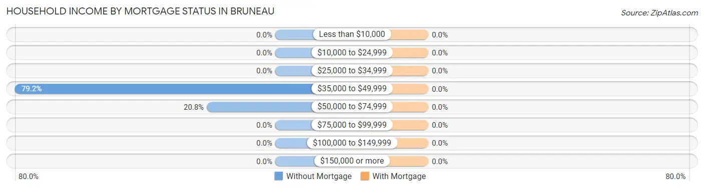 Household Income by Mortgage Status in Bruneau