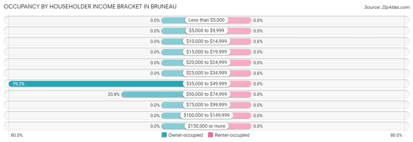 Occupancy by Householder Income Bracket in Bruneau