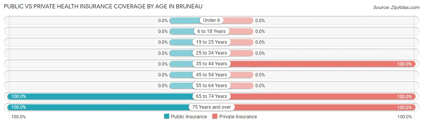 Public vs Private Health Insurance Coverage by Age in Bruneau