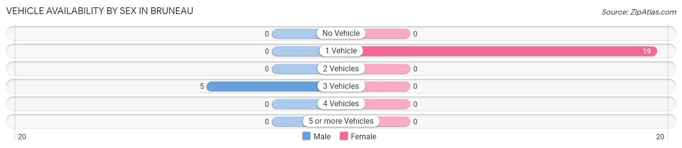 Vehicle Availability by Sex in Bruneau