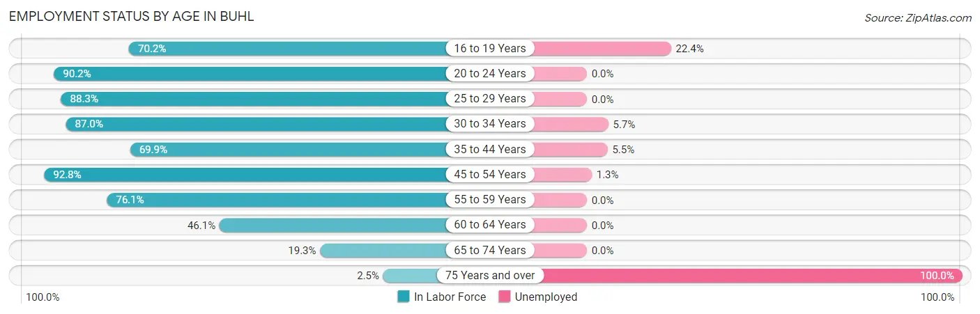 Employment Status by Age in Buhl