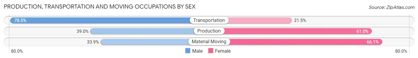 Production, Transportation and Moving Occupations by Sex in Buhl