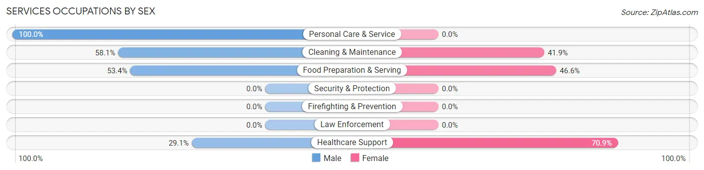 Services Occupations by Sex in Buhl