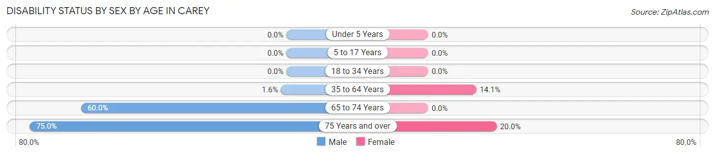 Disability Status by Sex by Age in Carey