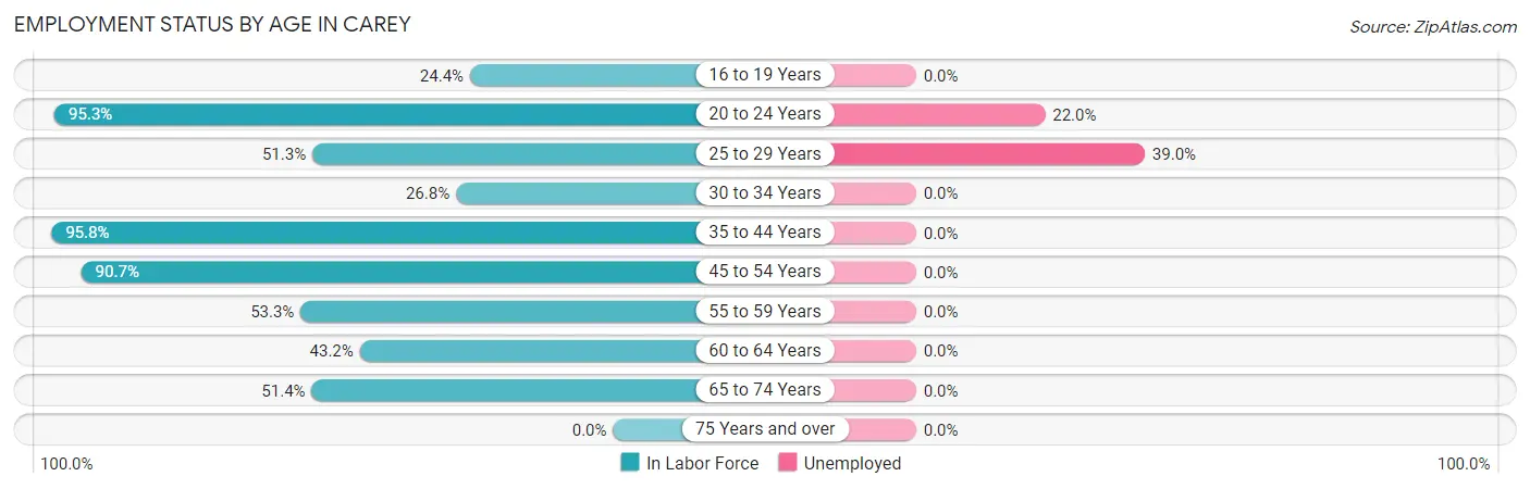 Employment Status by Age in Carey