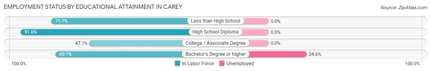 Employment Status by Educational Attainment in Carey
