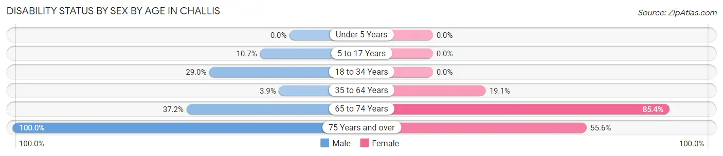 Disability Status by Sex by Age in Challis