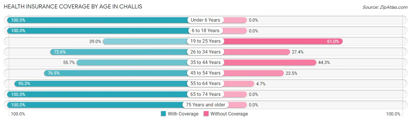 Health Insurance Coverage by Age in Challis