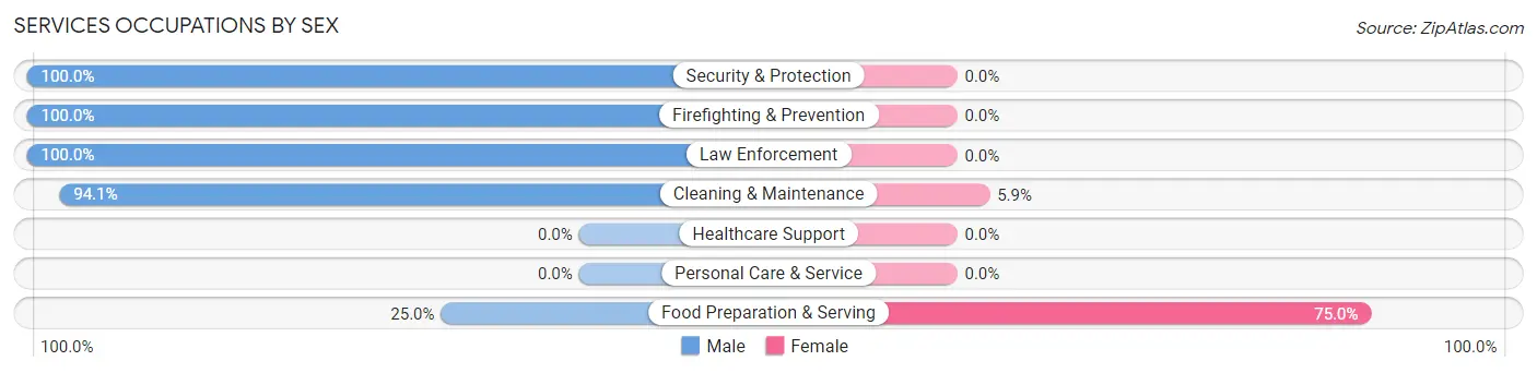 Services Occupations by Sex in Challis