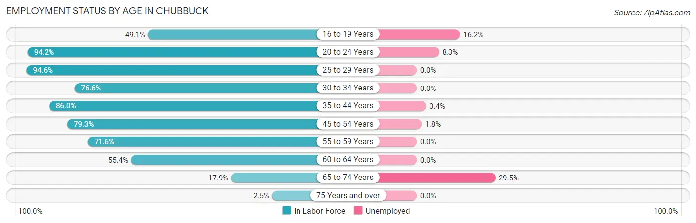 Employment Status by Age in Chubbuck