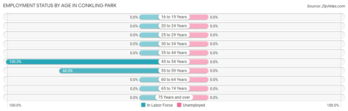 Employment Status by Age in Conkling Park