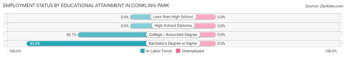 Employment Status by Educational Attainment in Conkling Park