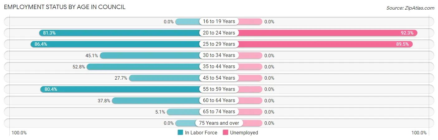 Employment Status by Age in Council