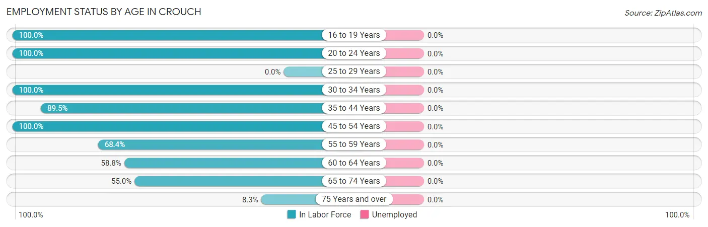 Employment Status by Age in Crouch