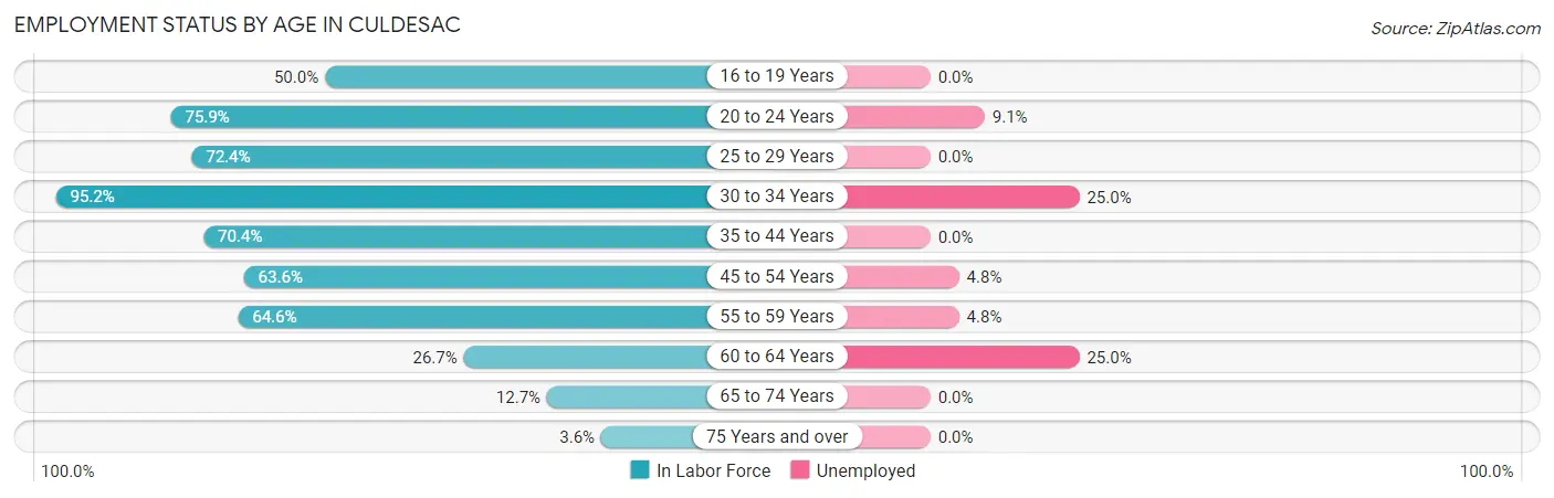 Employment Status by Age in Culdesac