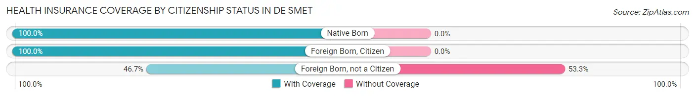 Health Insurance Coverage by Citizenship Status in De Smet