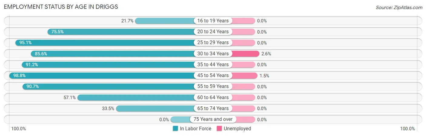 Employment Status by Age in Driggs