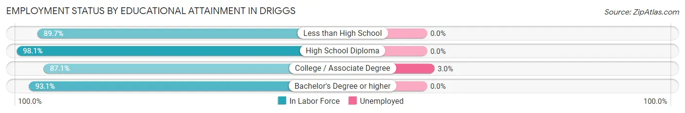 Employment Status by Educational Attainment in Driggs
